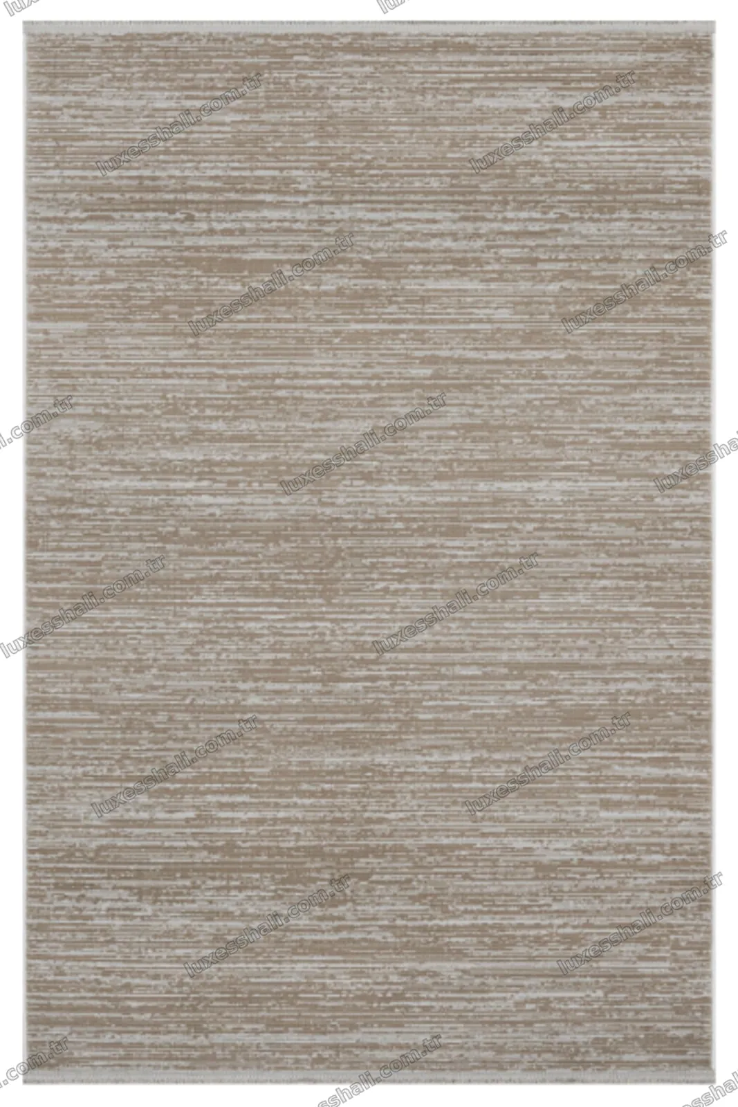 1099 Vizon