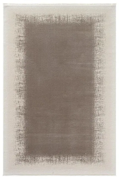 2010 Vizon
