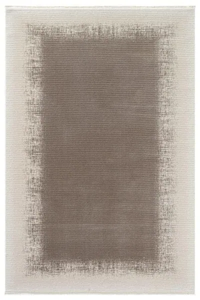 2010 Vizon