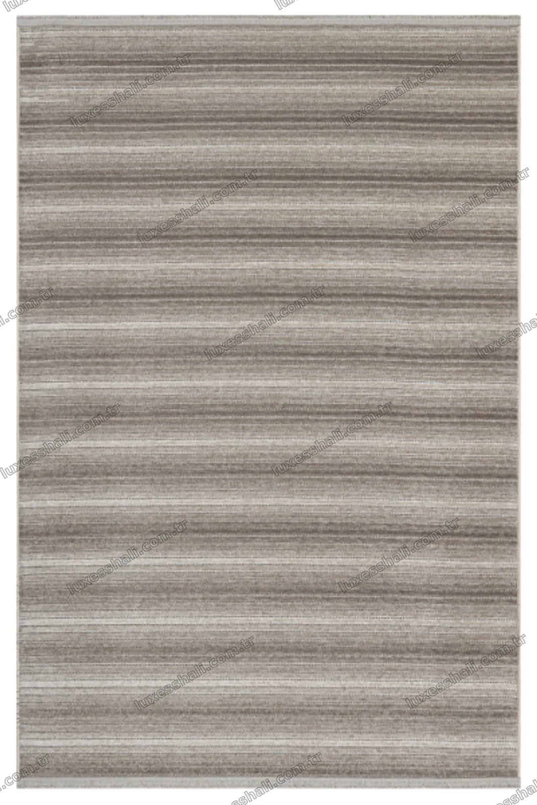402 Vizon